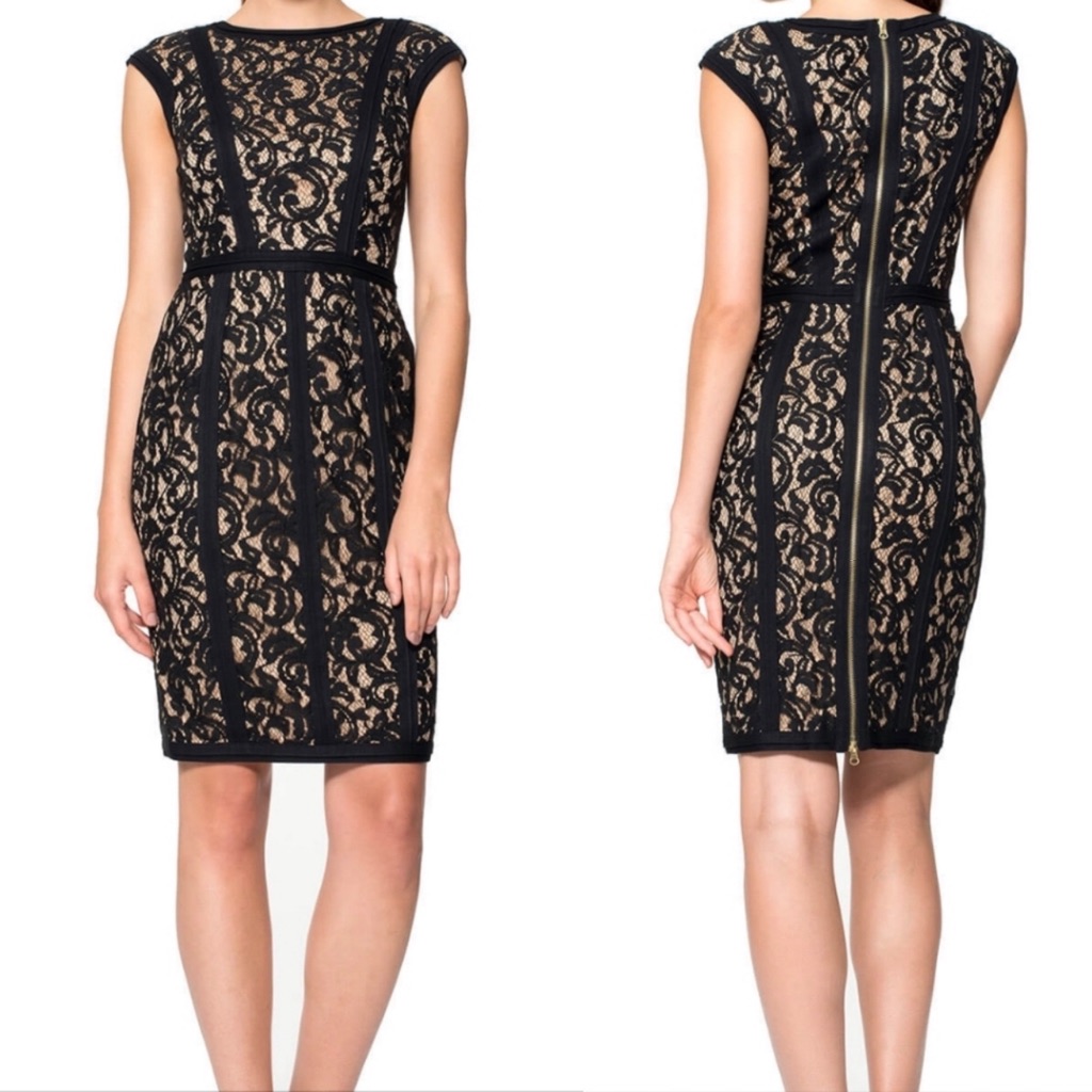 Nwt! Tadashi Shoji Black Lace/Nude Lining Cap Sleeve Sheath Dress 10 Retail $328